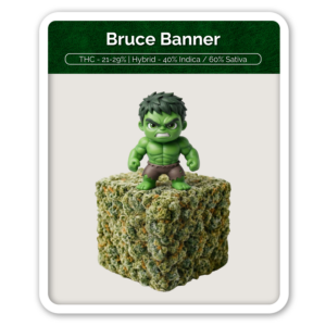 Bruce Banner Flower