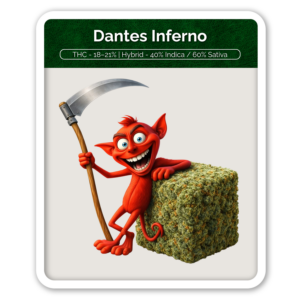 Dantes Inferno Flower