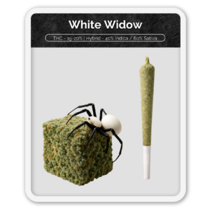 Black Label White Widow Preroll Hash Infused