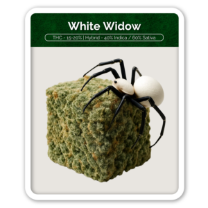 White Widow Flower