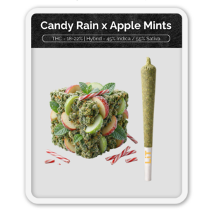 Black Label Candy Rain x Apple Mints Preroll Hash Infused