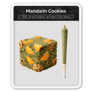 Black Label Mandarin Cookies Preroll Hash Infused