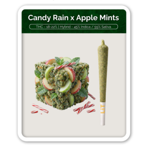 Green Label Candy Rain x Apple Mints Preroll