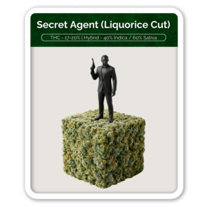 Secret Agent (Liquorice Cut) Flower